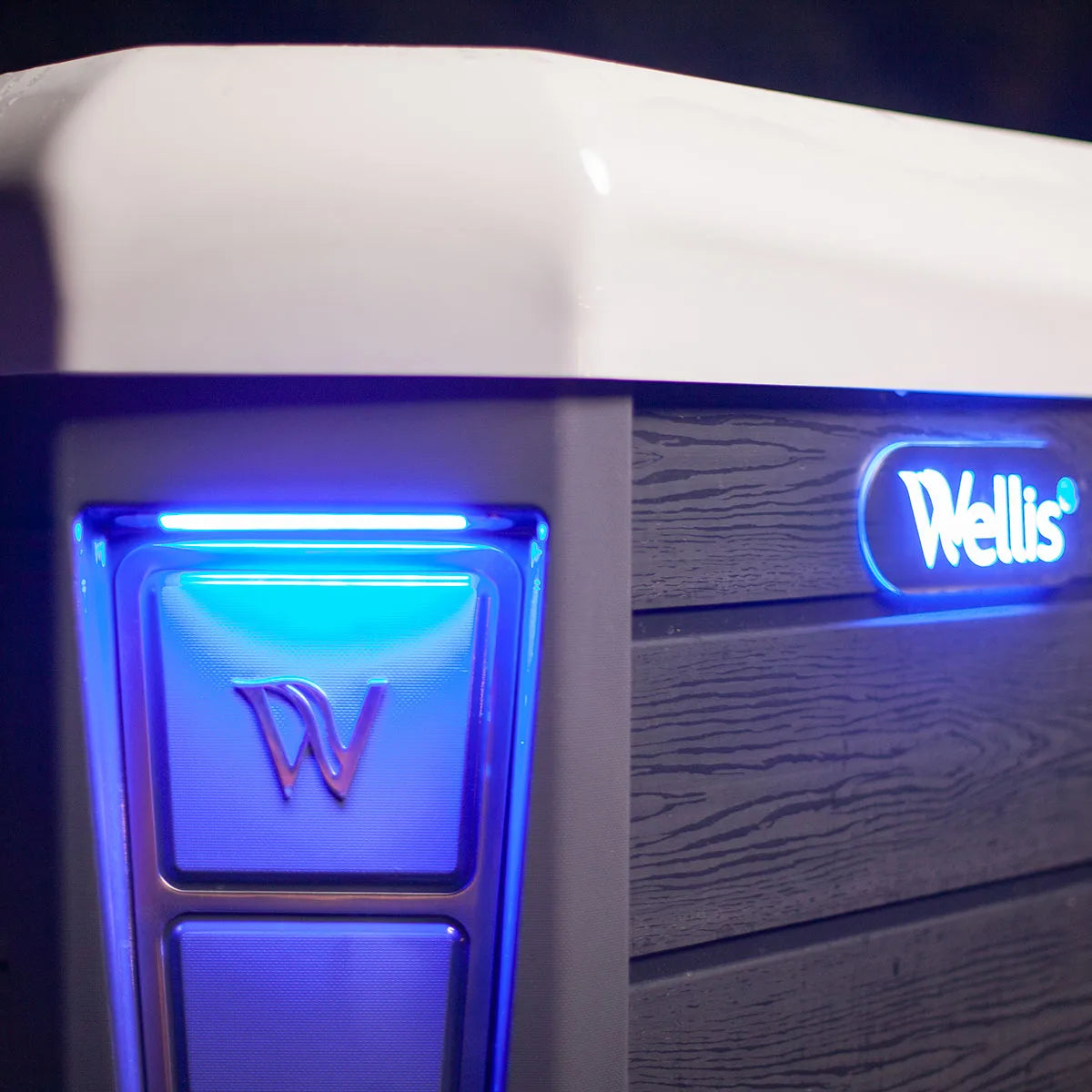 Wellis Lima Life