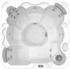 Wellis Castor P&P